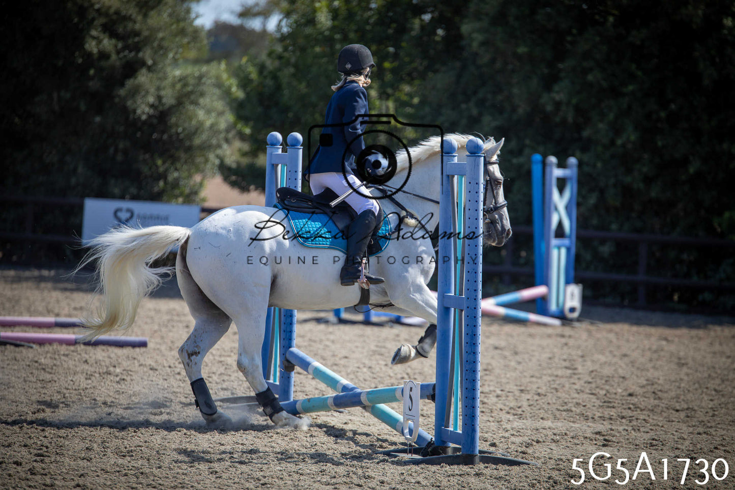 St Lawrence Charity Horse Show - Sunday pt1