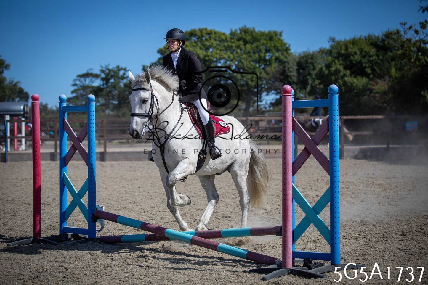 St Lawrence Charity Horse Show - Sunday pt1