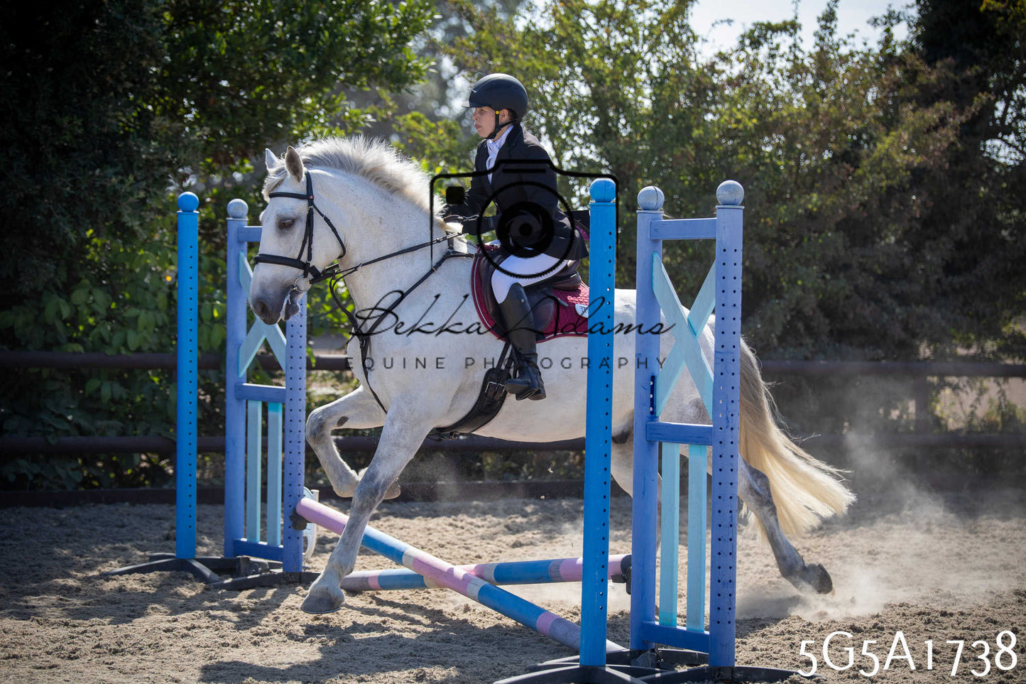 St Lawrence Charity Horse Show - Sunday pt1