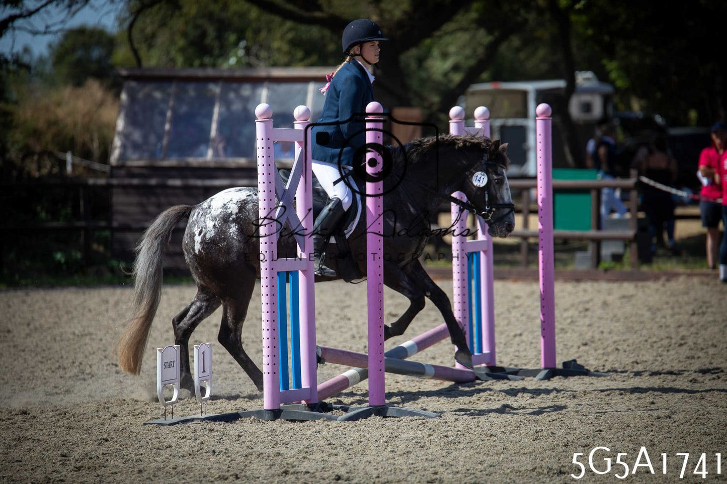 St Lawrence Charity Horse Show - Sunday pt1