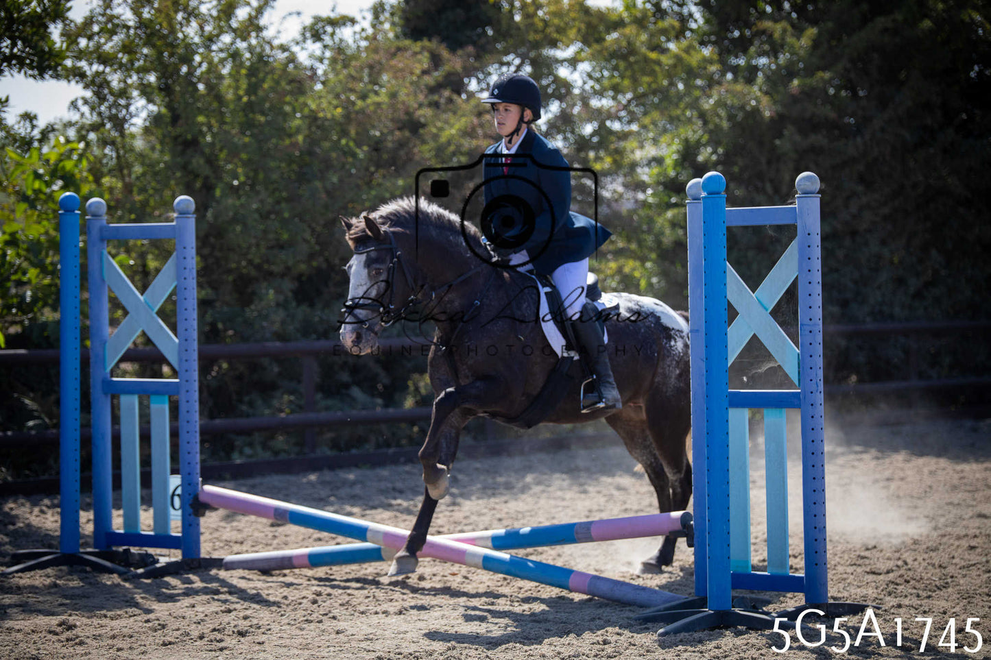 St Lawrence Charity Horse Show - Sunday pt1