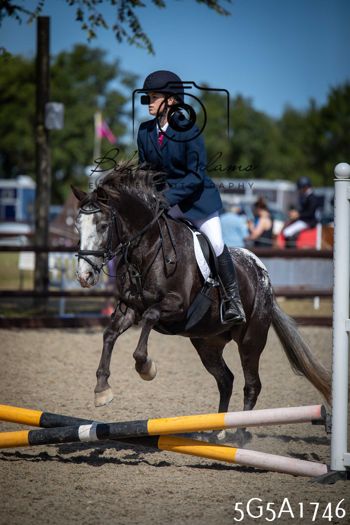 St Lawrence Charity Horse Show - Sunday pt1