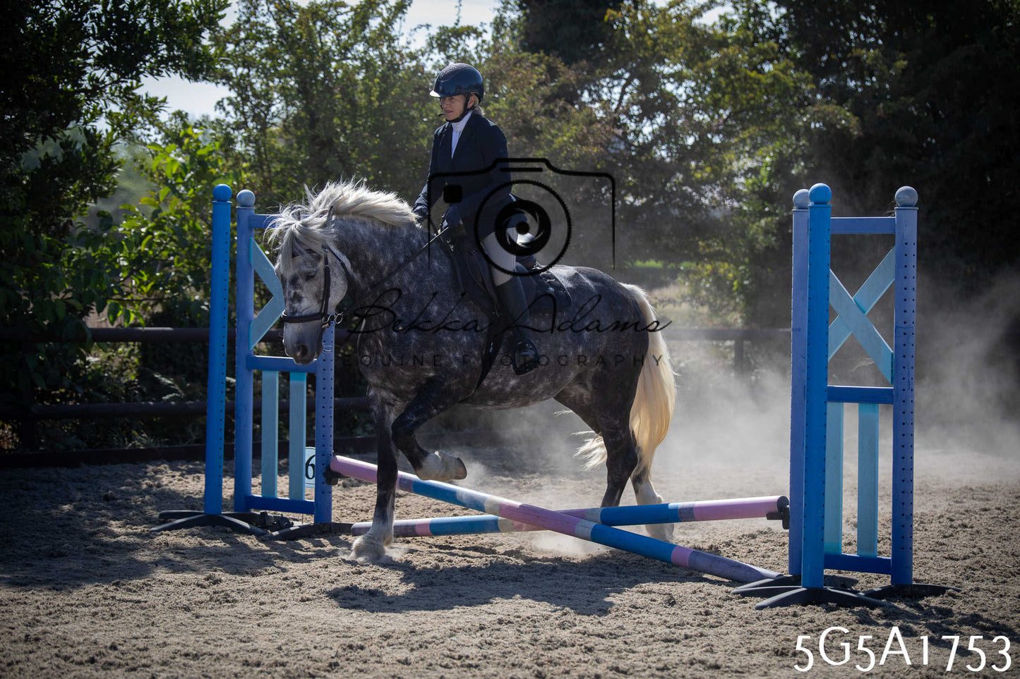 St Lawrence Charity Horse Show - Sunday pt1