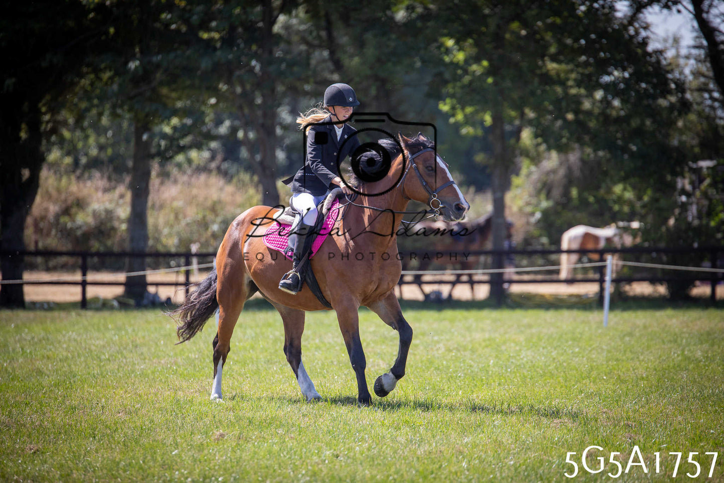 St Lawrence Charity Horse Show - Sunday pt1