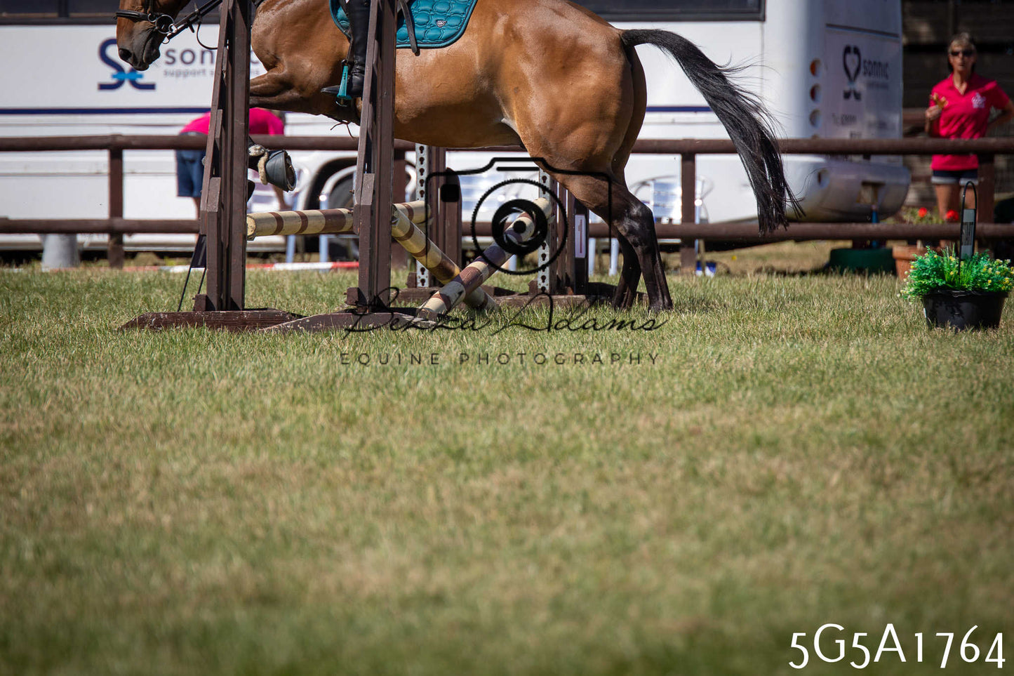 St Lawrence Charity Horse Show - Sunday pt1
