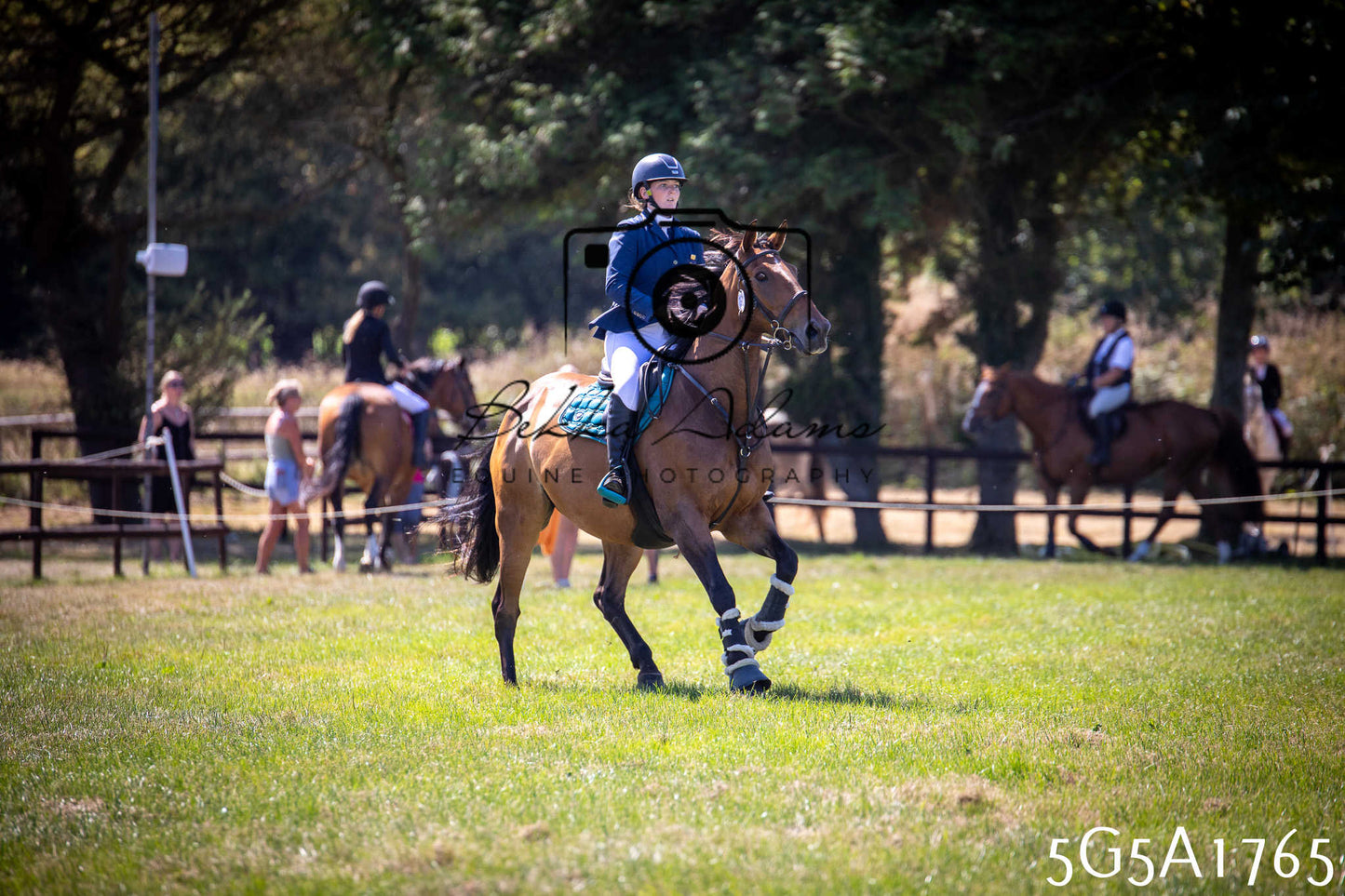 St Lawrence Charity Horse Show - Sunday pt1