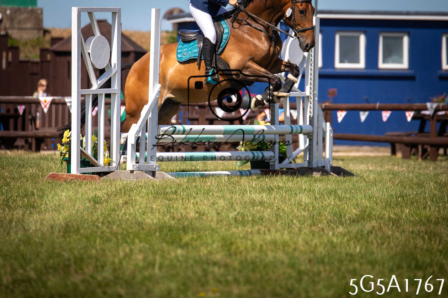 St Lawrence Charity Horse Show - Sunday pt1