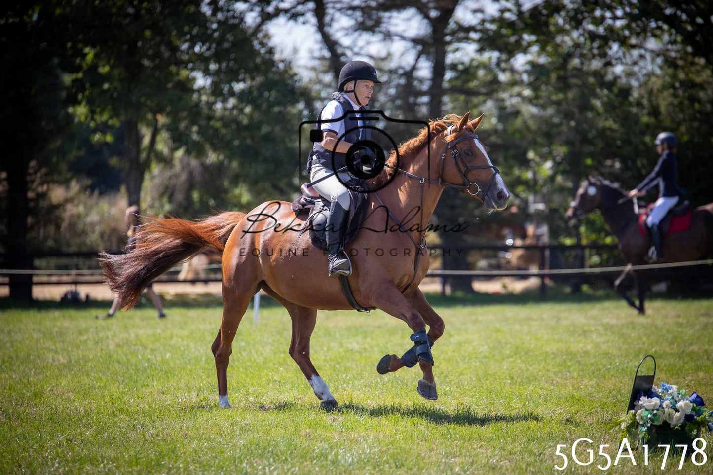 St Lawrence Charity Horse Show - Sunday pt1
