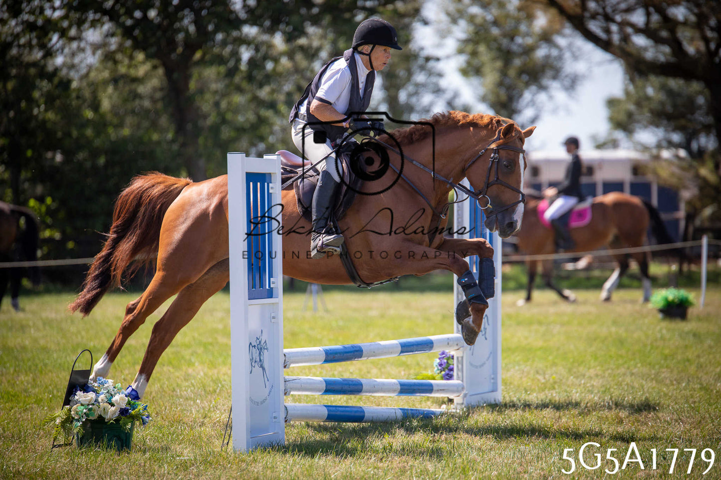 St Lawrence Charity Horse Show - Sunday pt1