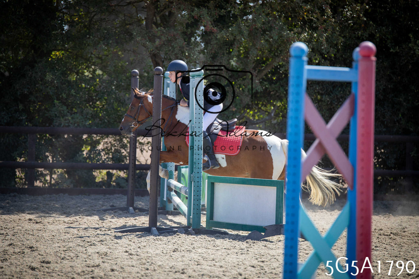 St Lawrence Charity Horse Show - Sunday pt1