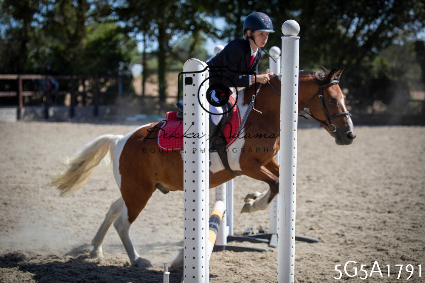 St Lawrence Charity Horse Show - Sunday pt1