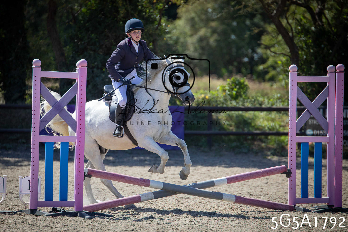 St Lawrence Charity Horse Show - Sunday pt1