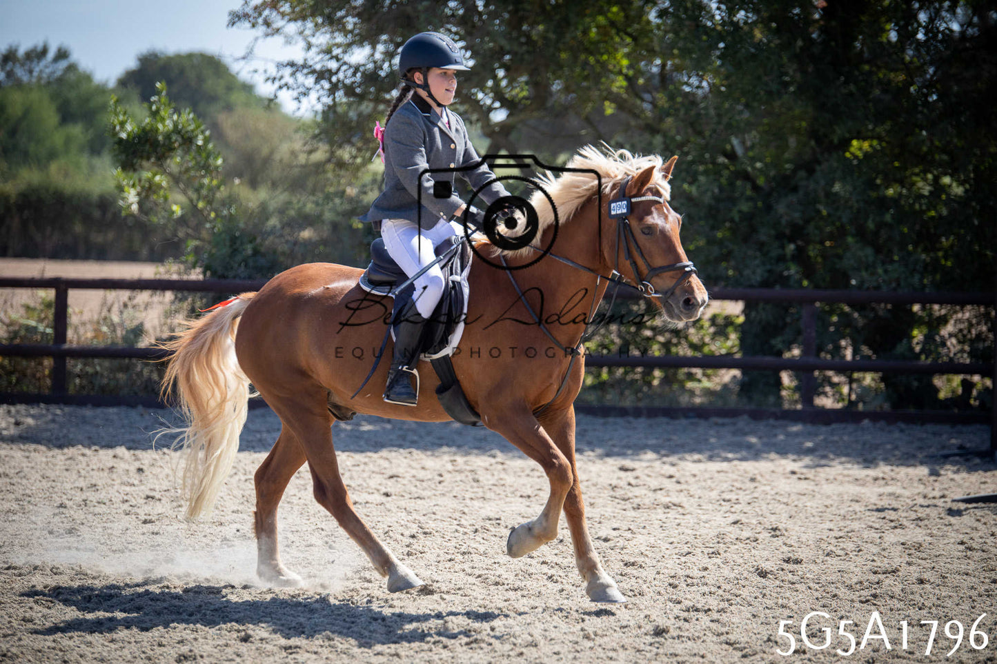 St Lawrence Charity Horse Show - Sunday pt1
