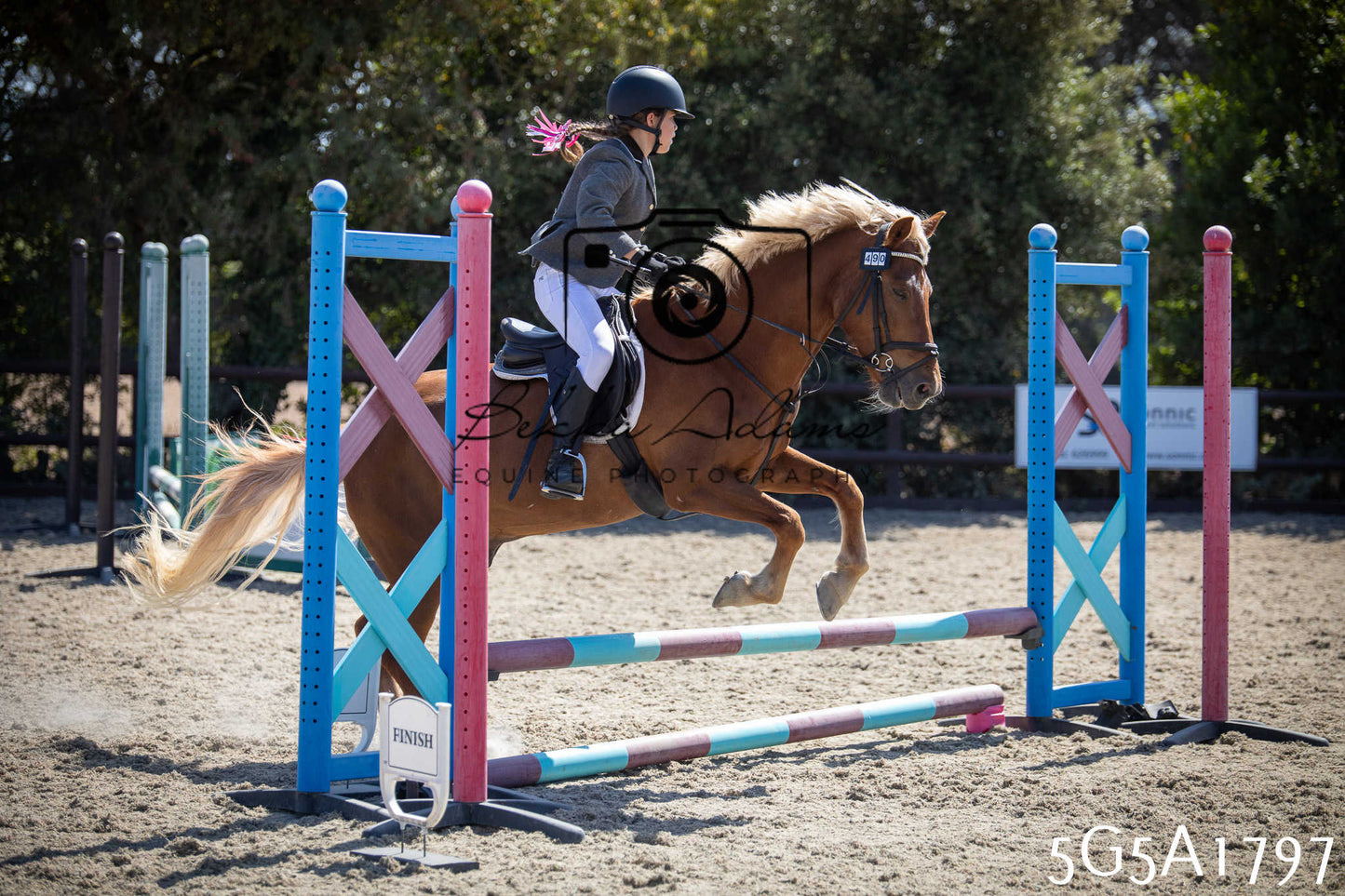 St Lawrence Charity Horse Show - Sunday pt1