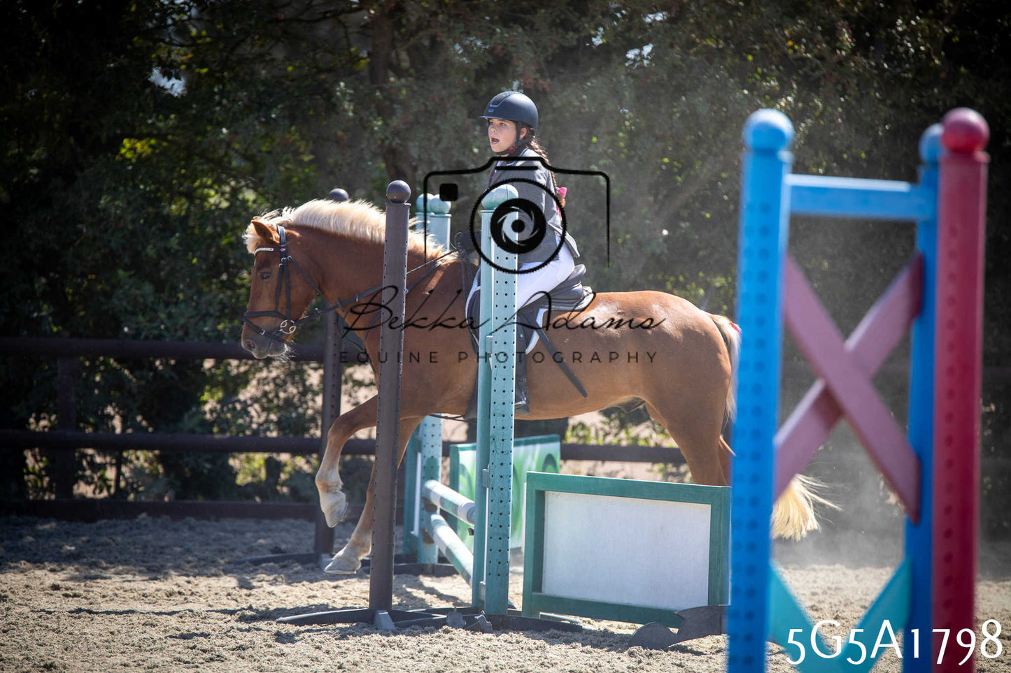 St Lawrence Charity Horse Show - Sunday pt1