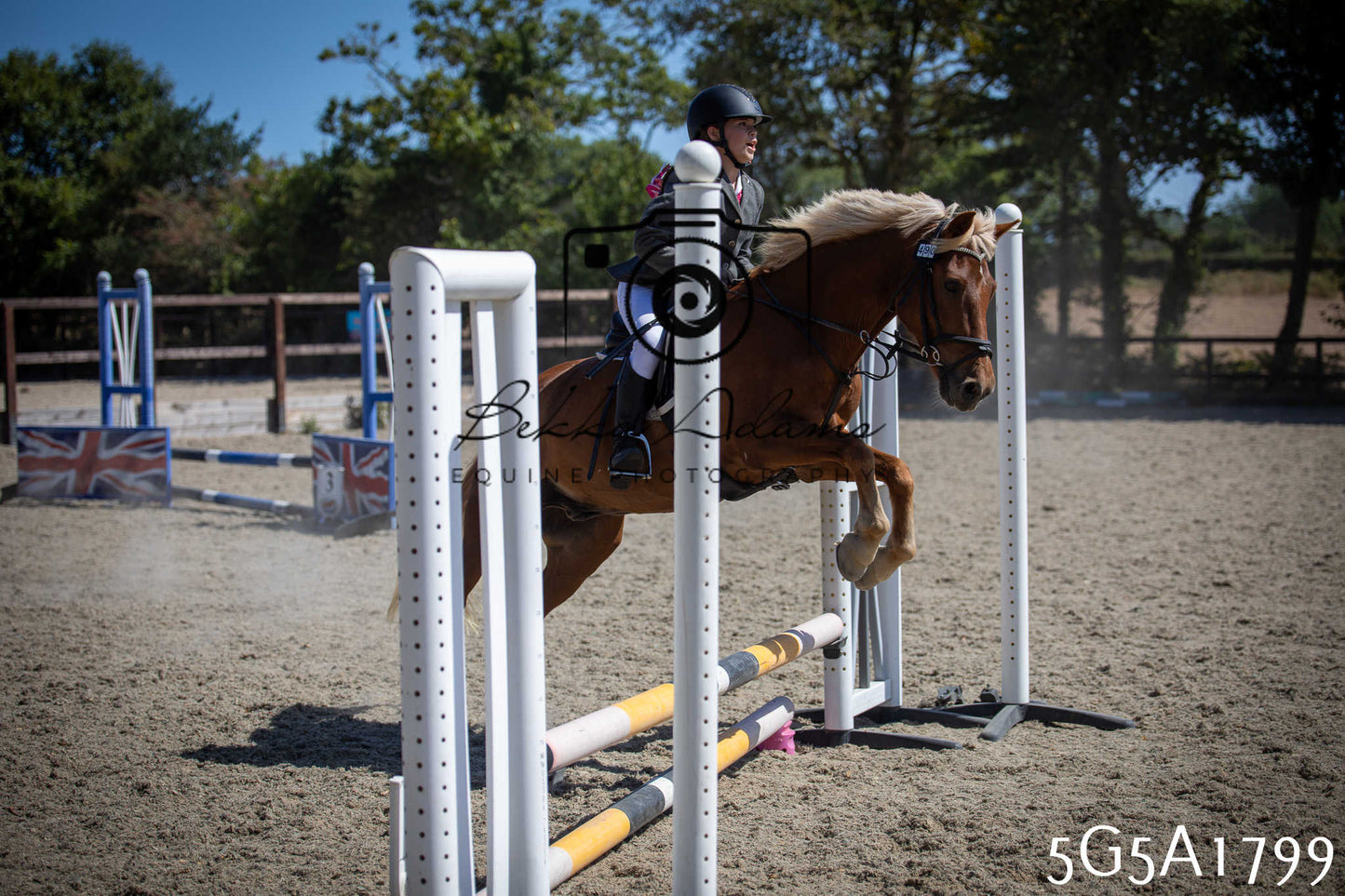 St Lawrence Charity Horse Show - Sunday pt1