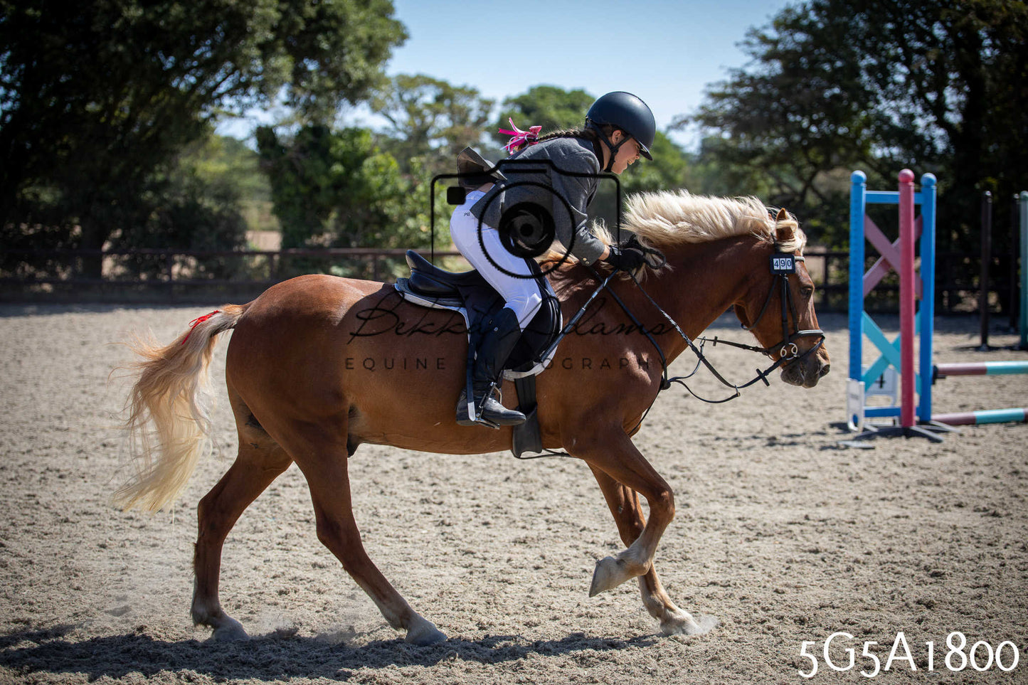 St Lawrence Charity Horse Show - Sunday pt1