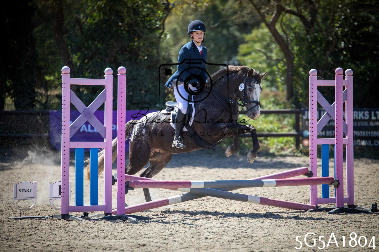 St Lawrence Charity Horse Show - Sunday pt1