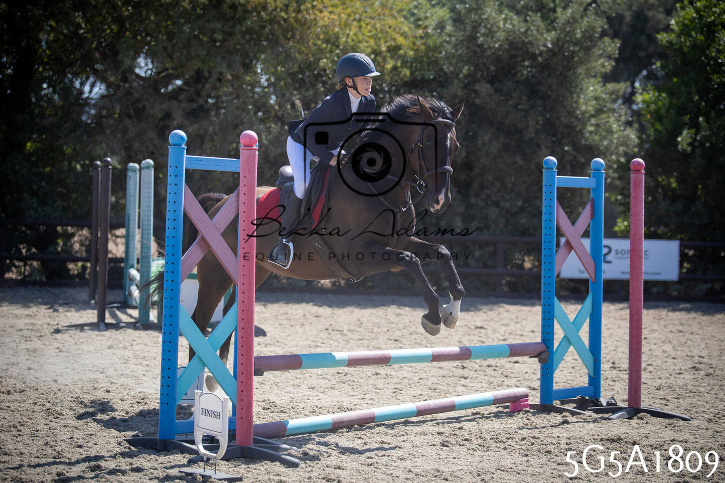 St Lawrence Charity Horse Show - Sunday pt1
