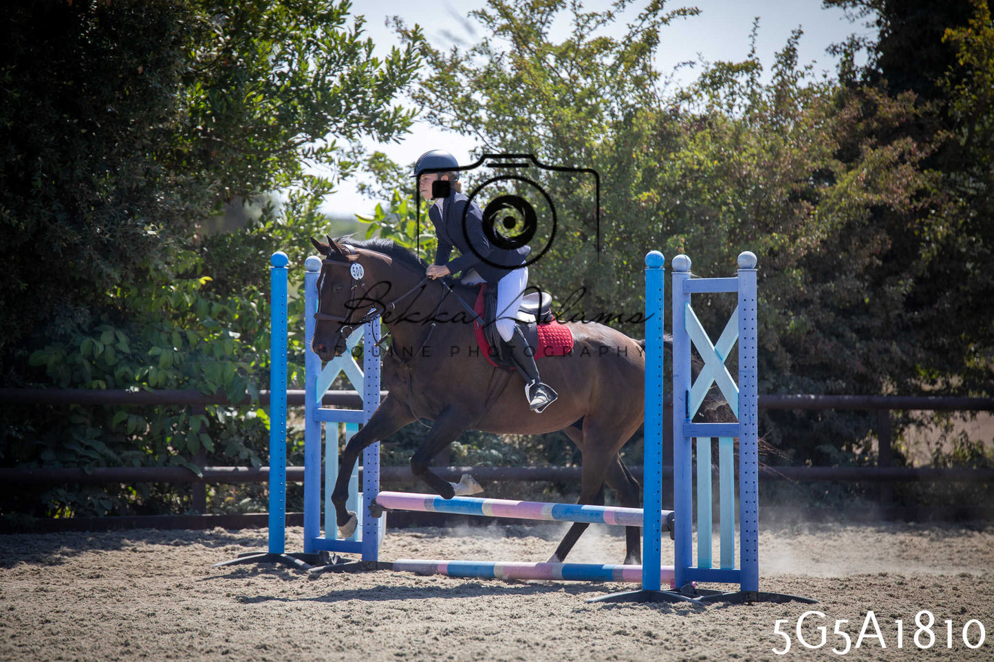 St Lawrence Charity Horse Show - Sunday pt1