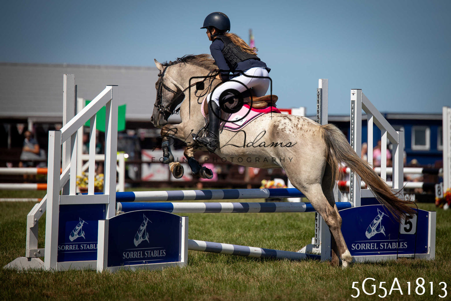 St Lawrence Charity Horse Show - Sunday pt1