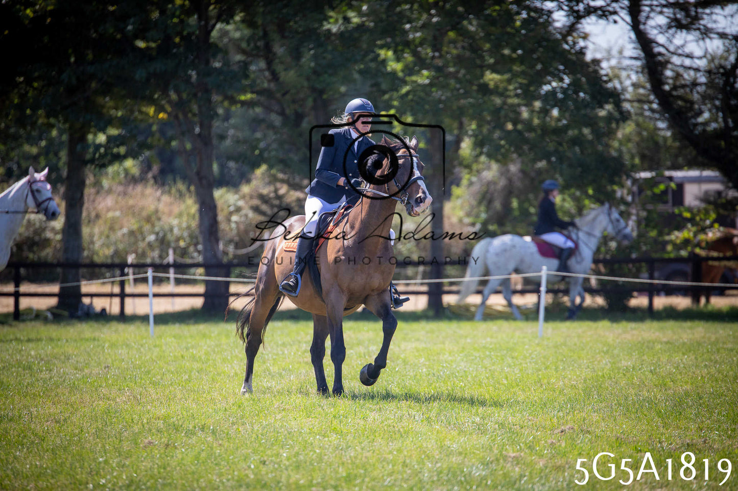 St Lawrence Charity Horse Show - Sunday pt1