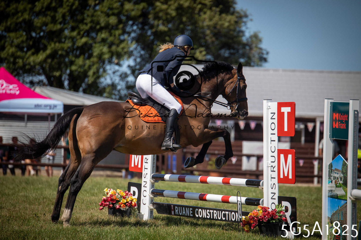St Lawrence Charity Horse Show - Sunday pt1