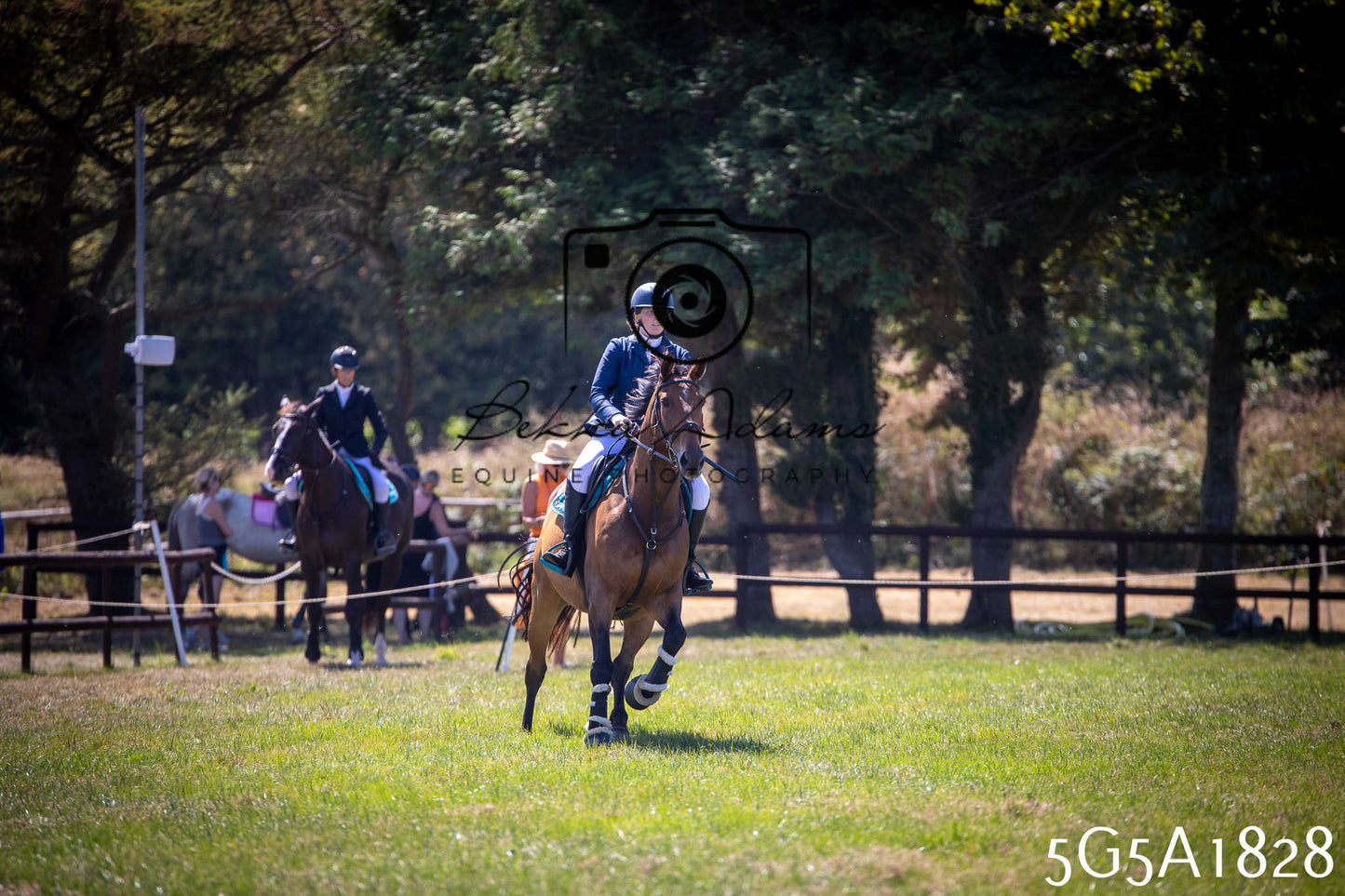 St Lawrence Charity Horse Show - Sunday pt1