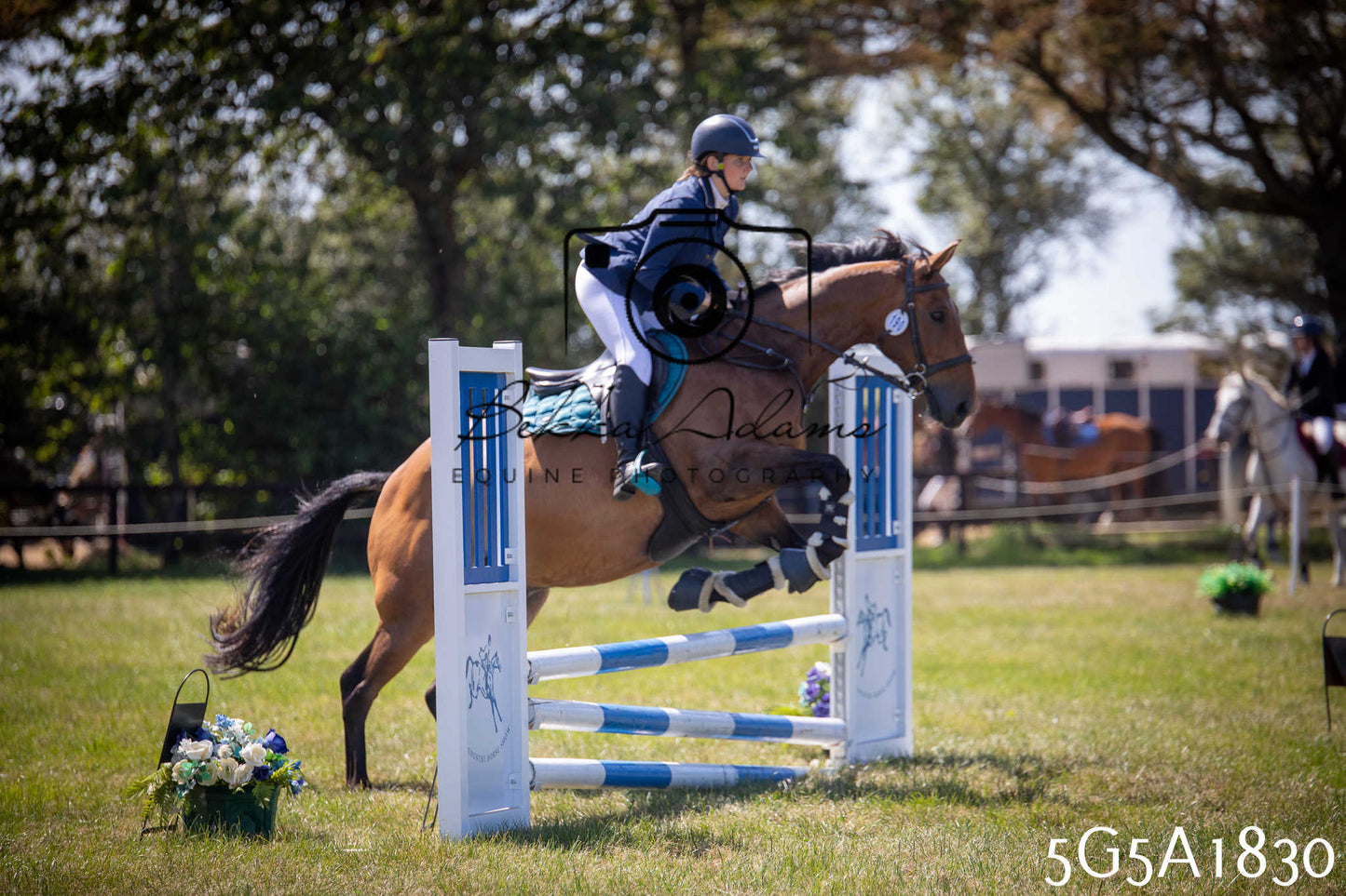 St Lawrence Charity Horse Show - Sunday pt1