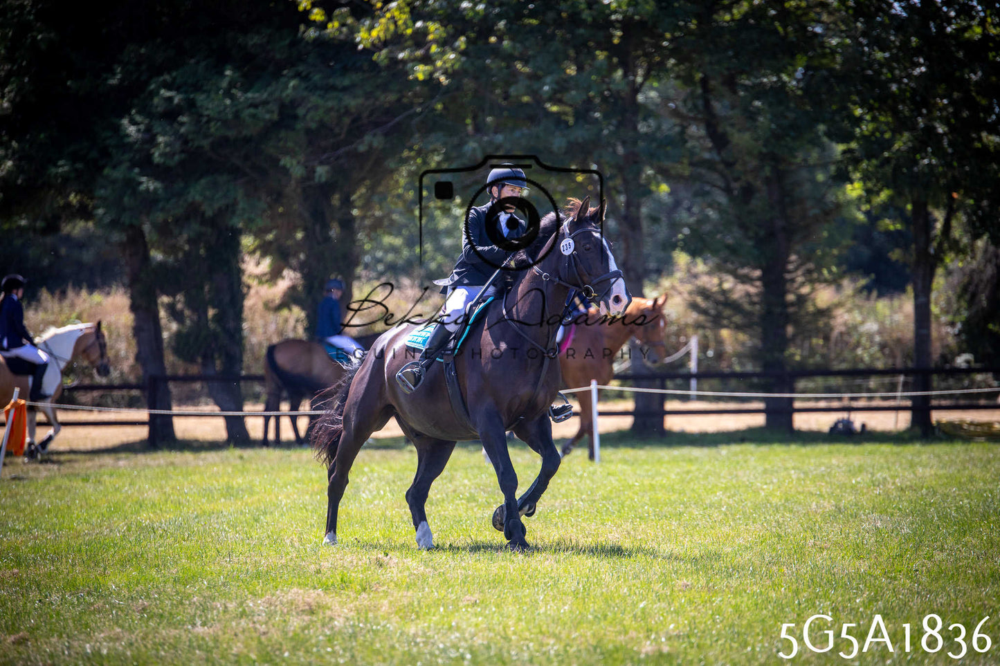 St Lawrence Charity Horse Show - Sunday pt1