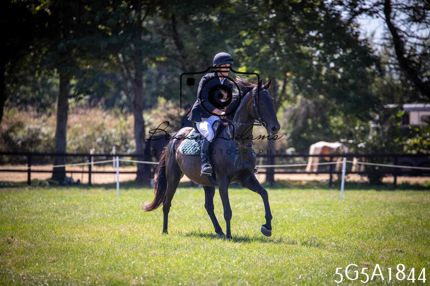 St Lawrence Charity Horse Show - Sunday pt1