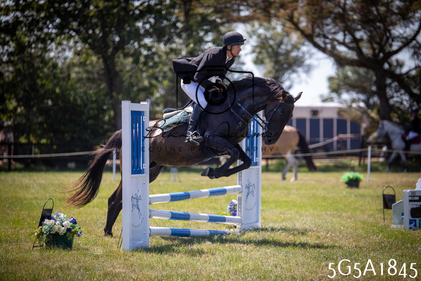 St Lawrence Charity Horse Show - Sunday pt1