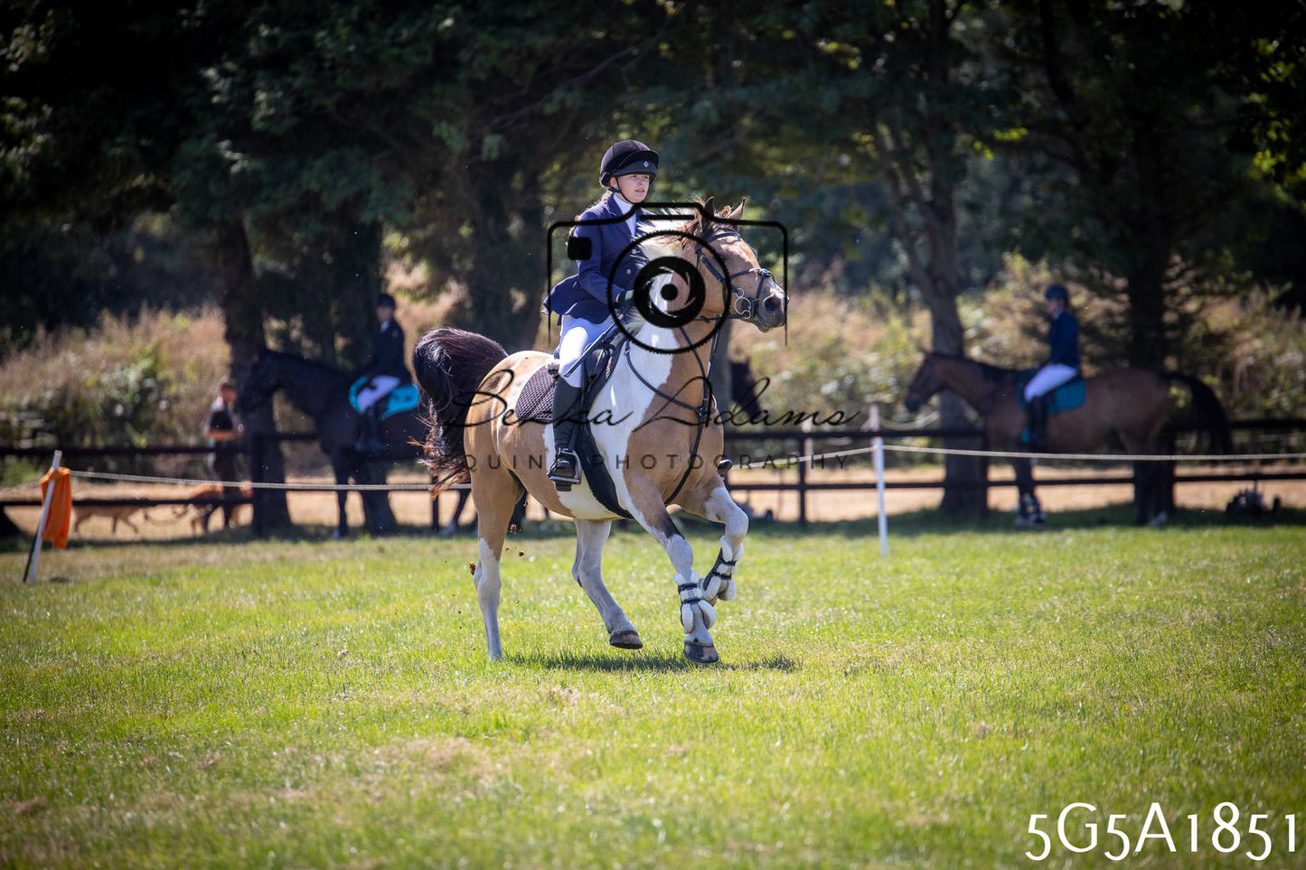 St Lawrence Charity Horse Show - Sunday pt1