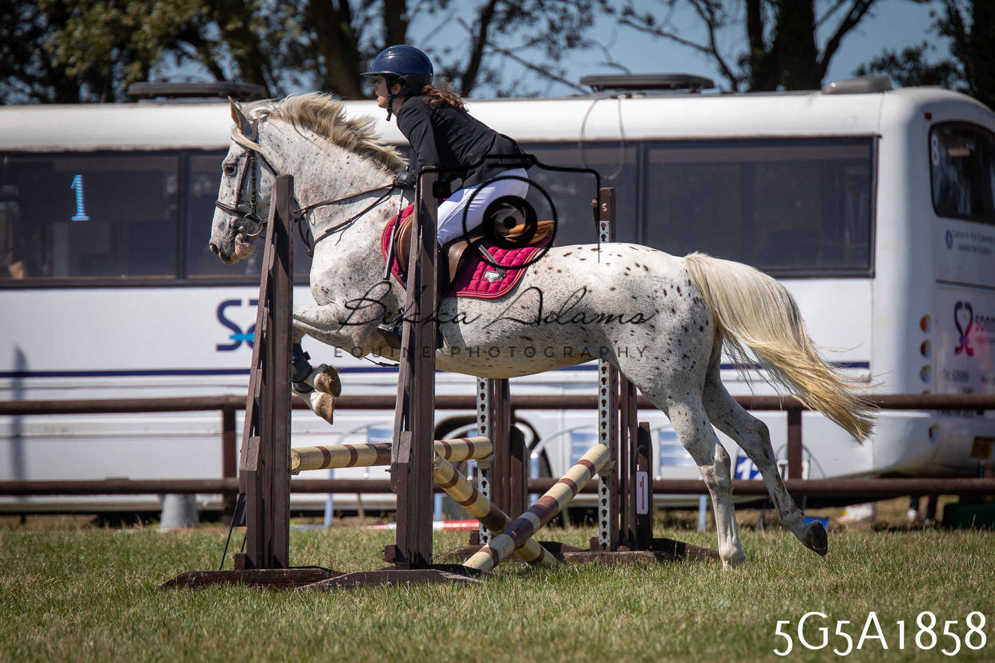 St Lawrence Charity Horse Show - Sunday pt1