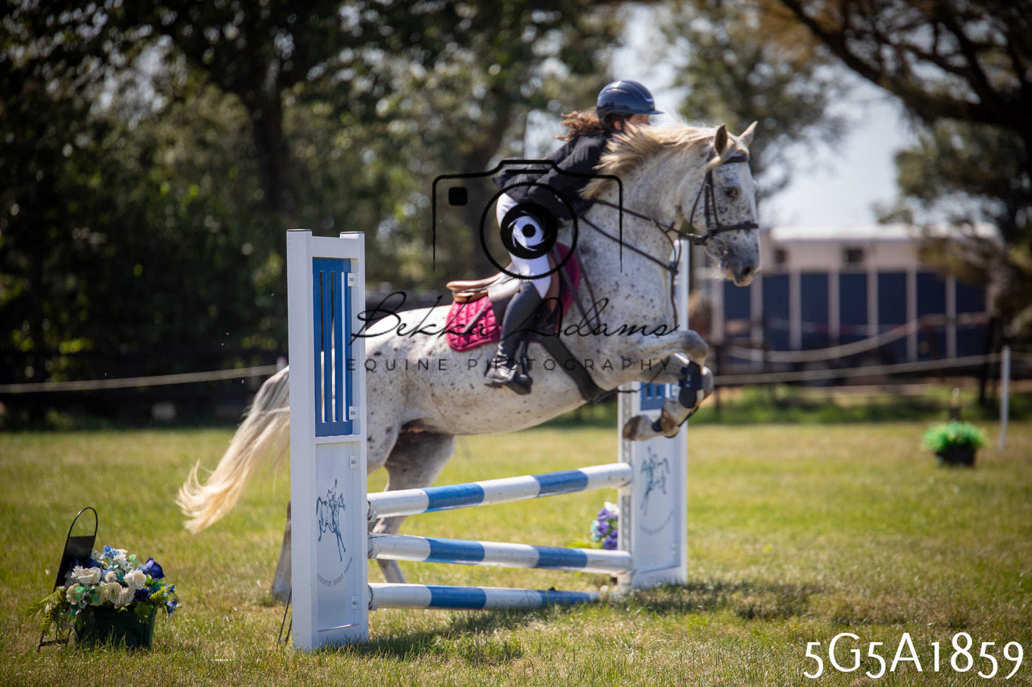 St Lawrence Charity Horse Show - Sunday pt1