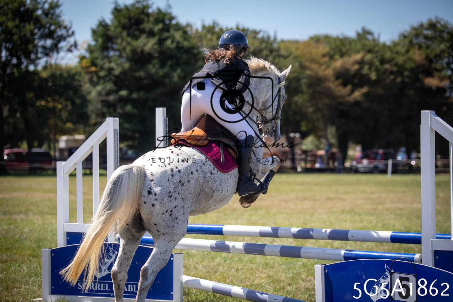 St Lawrence Charity Horse Show - Sunday pt2