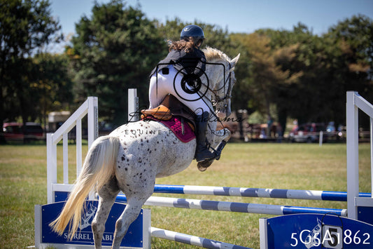St Lawrence Charity Horse Show - Sunday pt2