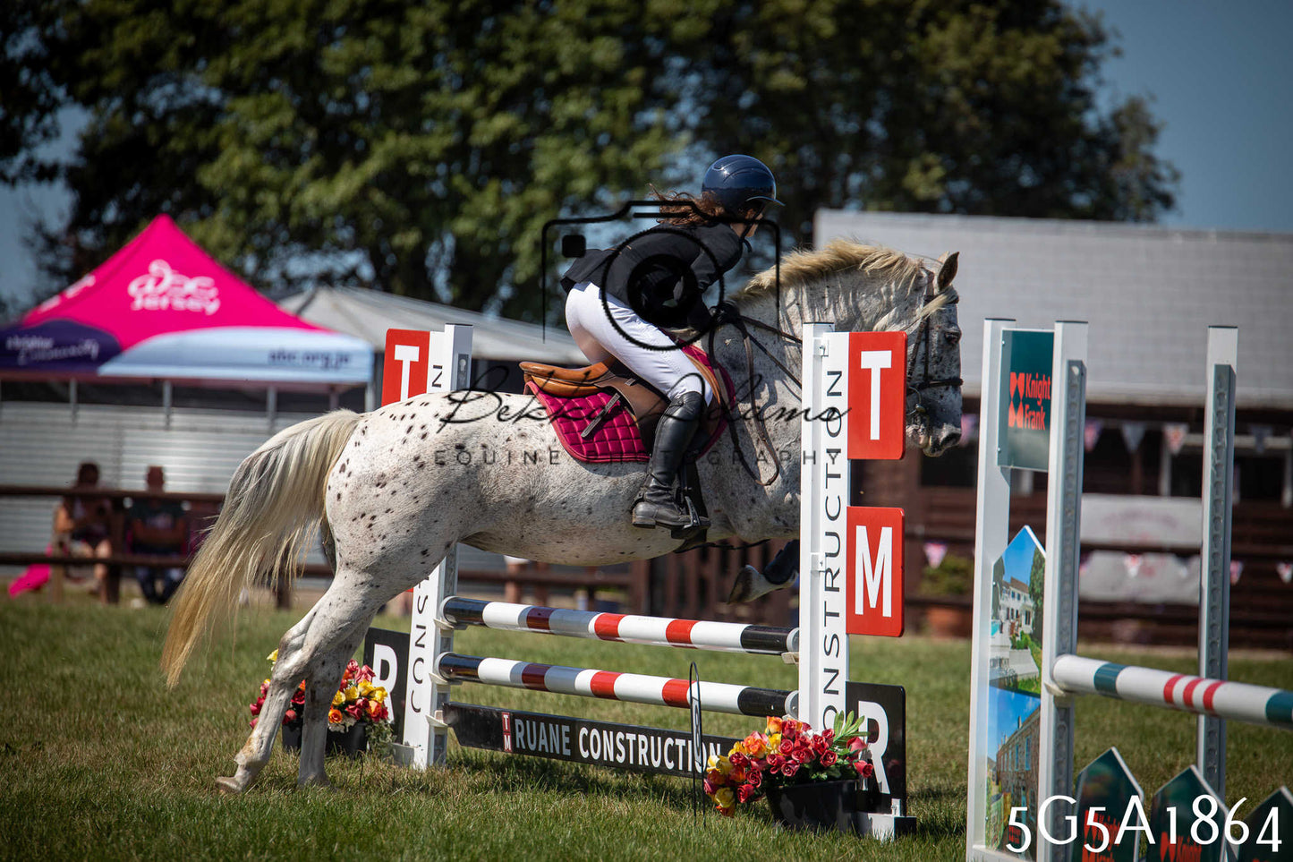 St Lawrence Charity Horse Show - Sunday pt2