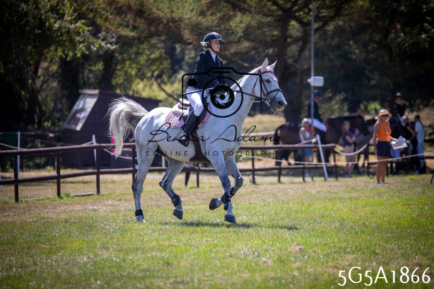 St Lawrence Charity Horse Show - Sunday pt2