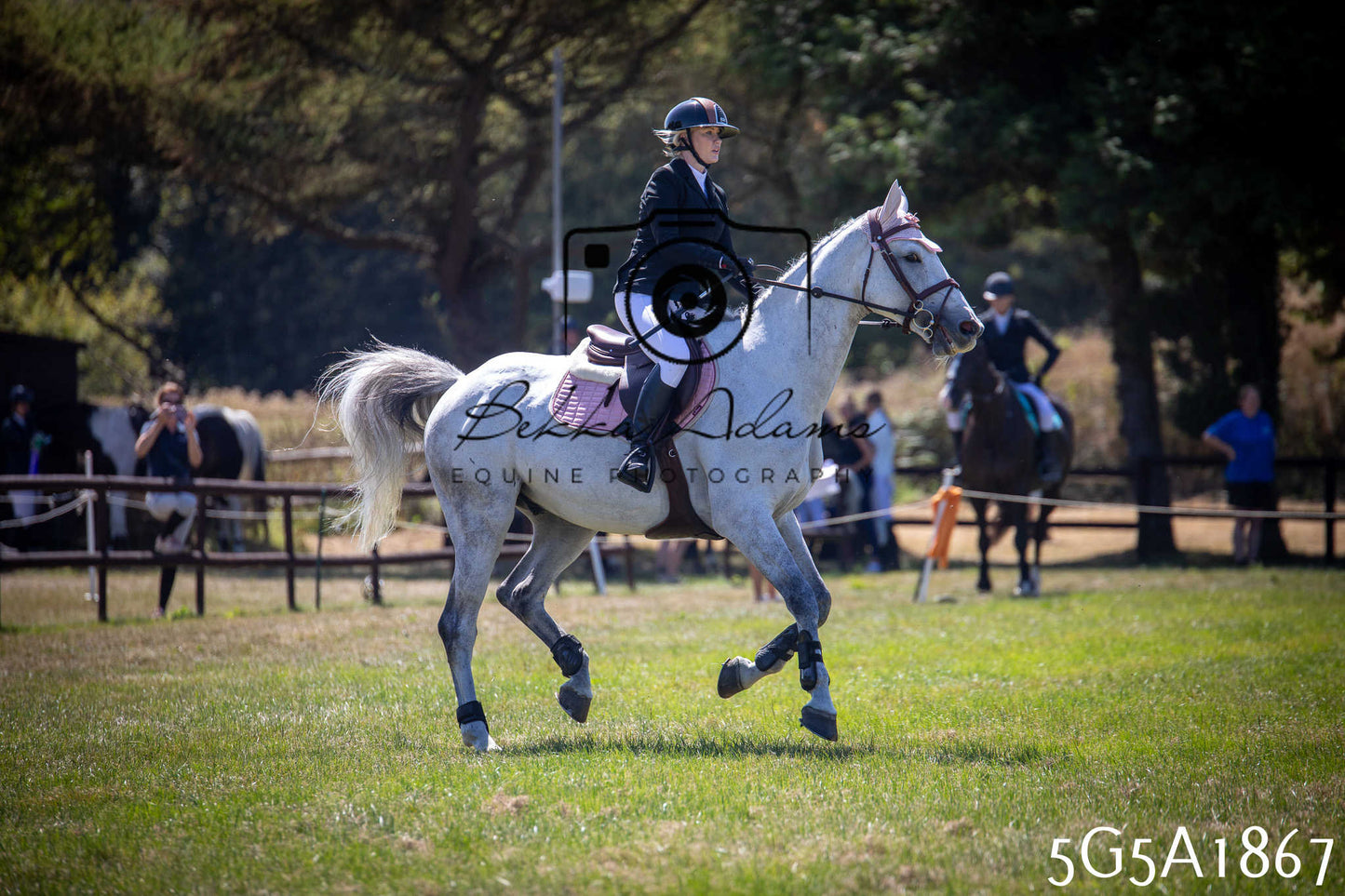 St Lawrence Charity Horse Show - Sunday pt2
