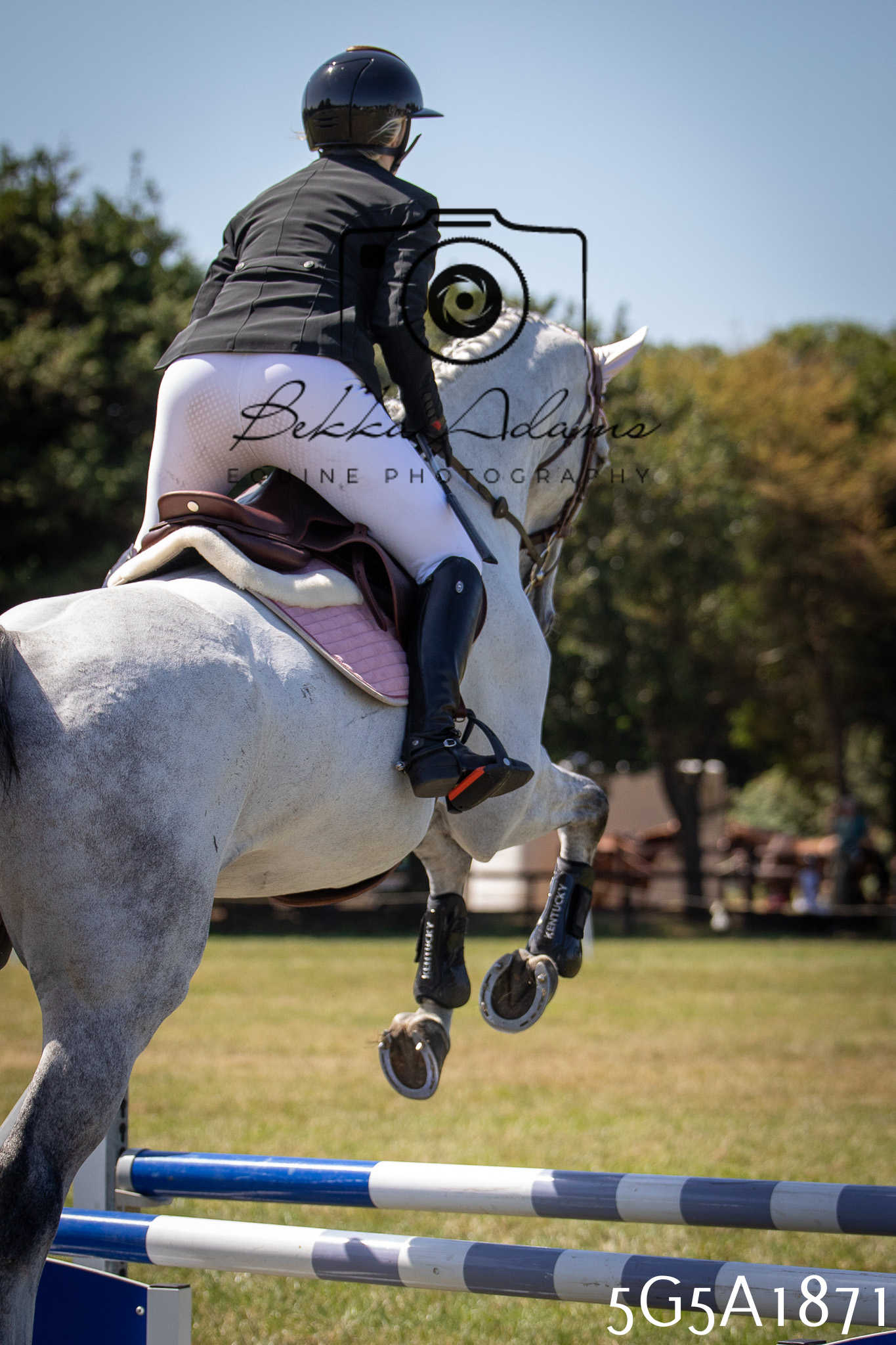 St Lawrence Charity Horse Show - Sunday pt2