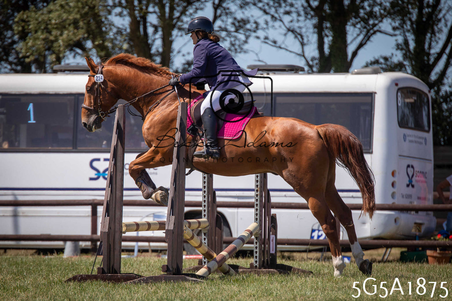 St Lawrence Charity Horse Show - Sunday pt2
