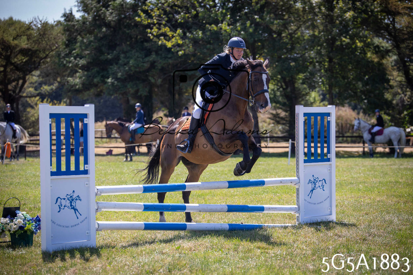 St Lawrence Charity Horse Show - Sunday pt2