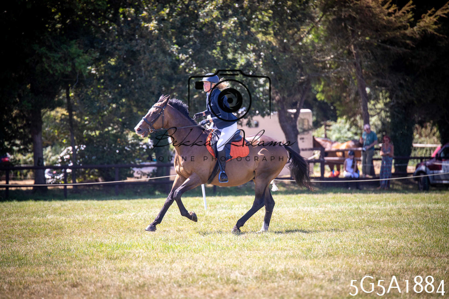 St Lawrence Charity Horse Show - Sunday pt2