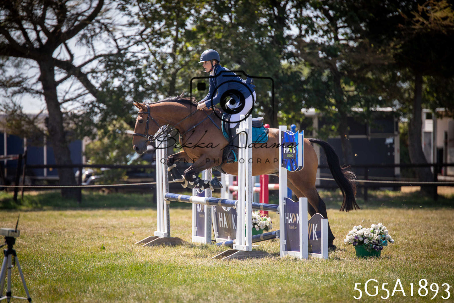 St Lawrence Charity Horse Show - Sunday pt2