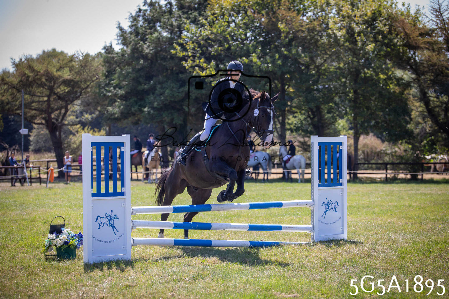 St Lawrence Charity Horse Show - Sunday pt2
