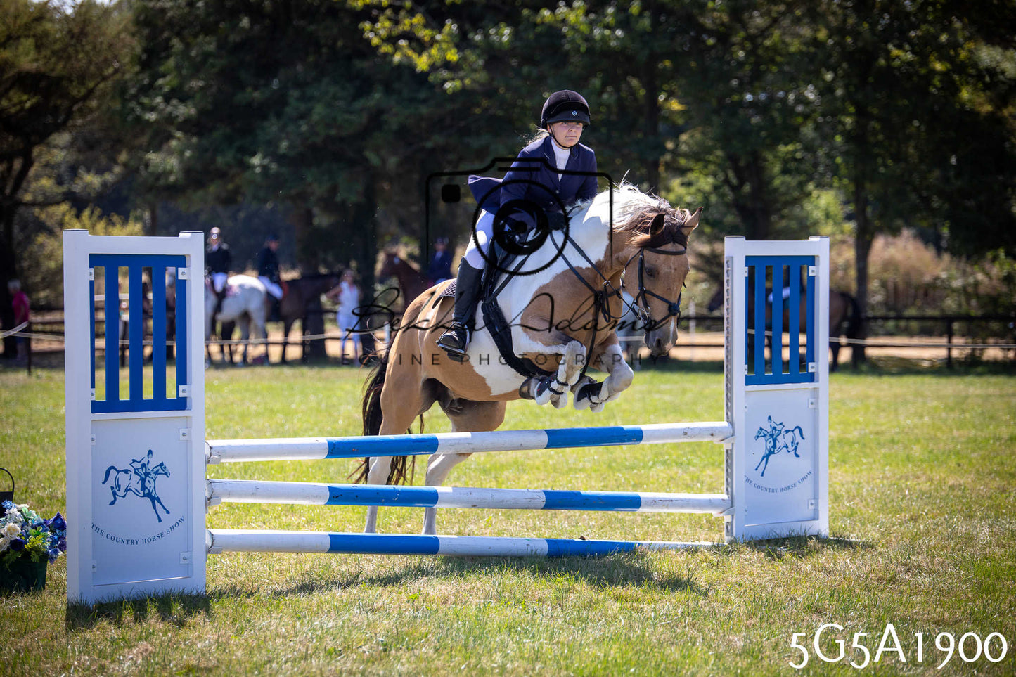 St Lawrence Charity Horse Show - Sunday pt2