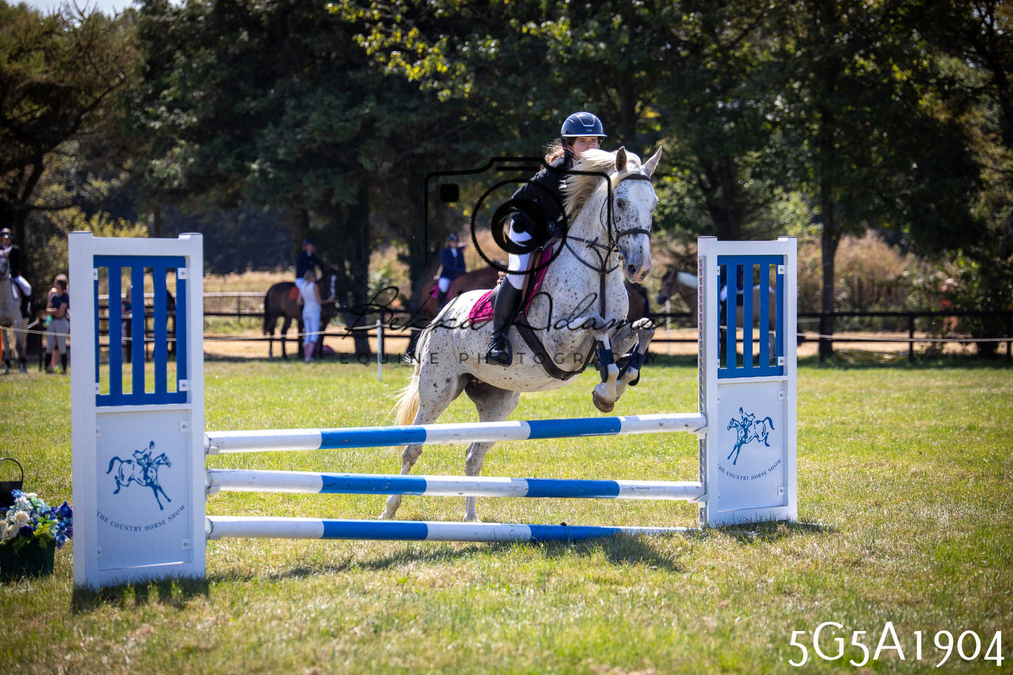 St Lawrence Charity Horse Show - Sunday pt2