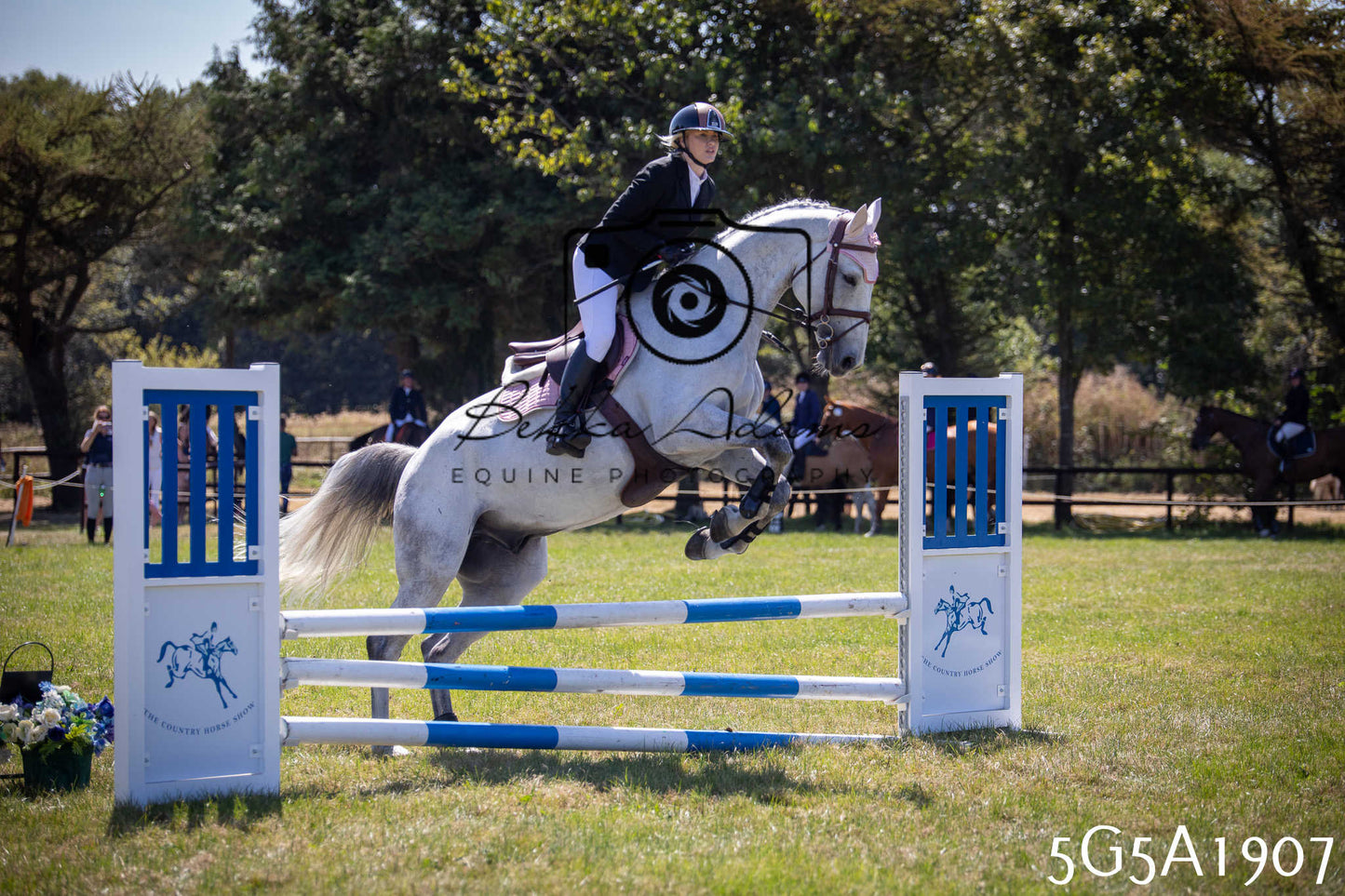 St Lawrence Charity Horse Show - Sunday pt2