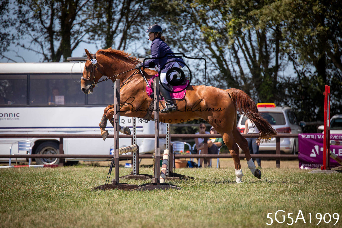 St Lawrence Charity Horse Show - Sunday pt2